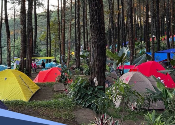Rekomendasi Spot Camping Akhir Pekan Terbaik di Jambi