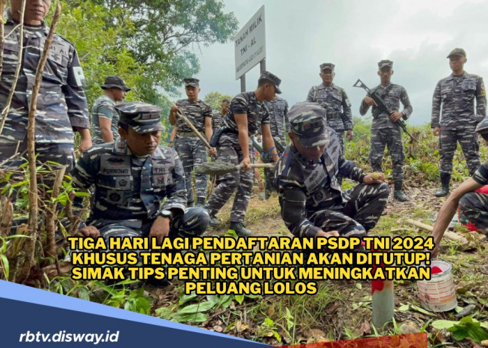 Tips Lolos Rekrutmen PSDP TNI 2024 Khusus Tenaga Pertanian, Persiapkan Dirimu dari Sekarang