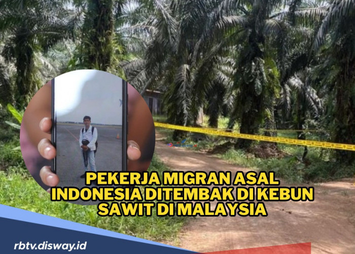 Pekerja Migran Indonesia Ditembak di Kebun Sawit di Malaysia, Ini Kronologi dan Identitasnya