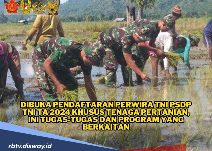 Dibuka Pendaftaran Perwira TNI PSDP TA 2024 Khusus Tenaga Pertanian, Ini Tugas-tugasnya