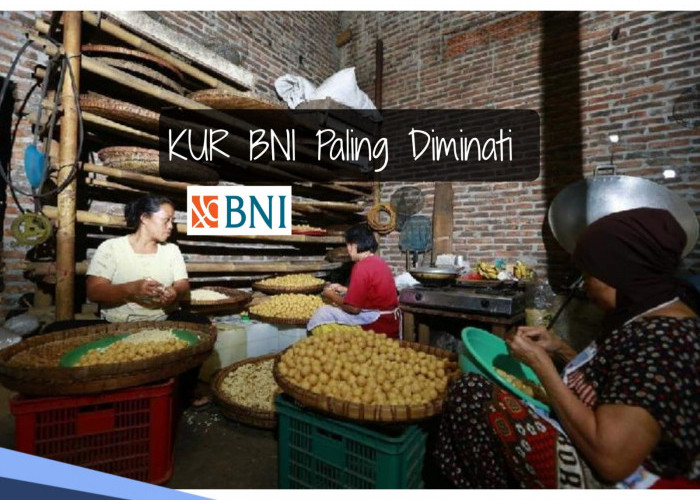 Peluang Bagus Pengembangan Usaha, Ajukan Pinjaman KUR BNI Rp 5-25 Juta November 2025