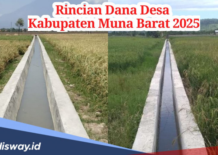 Rincian Dana Desa Kabupaten Muna Barat 2025, Ada 3 Desa yang Terima Anggaran hingga Rp 1 Miliar