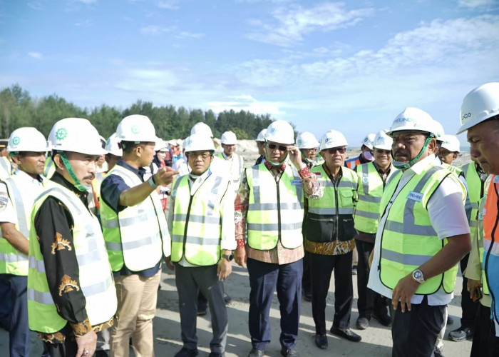 Pelindo Dapat Warning Komisi V DPR RI, Wagub Mian: Pelindo Jangan 'Tarsok'