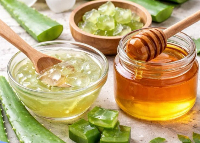 Cara Mengembalikan Kelembapan Kulit Tangan Kering dengan Bahan Alami