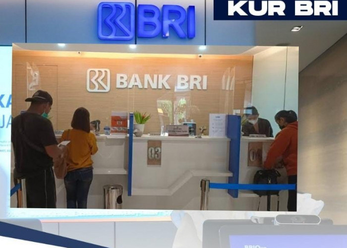 Ternyata Ini Rahasia Bisa Tembus Pinjaman Modal KUR BRI Rp 100-500 Juta