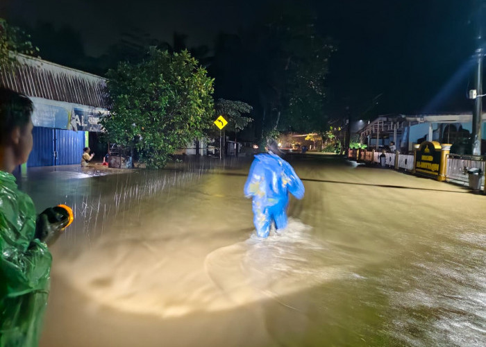 Jalinbar Lumpuh, Akses Jalan Lintas Bengkulu-Tais Terendam Banjir