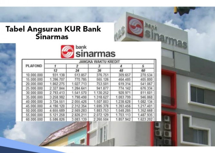 Tabel Angsuran KUR Bank Sinarmas 8 Februari 2024 Pinjaman Rp 50 Juta, Bunga 0,26 Persen 