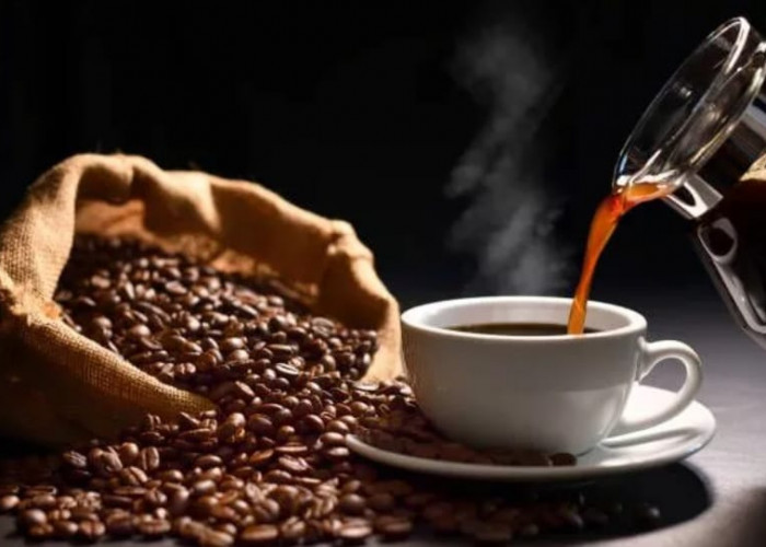 Pengopi Bengkulu Harus Tahu, Ini 7 Daerah Penghasil Kopi Terbaik di Indonesia, Nomor 3 Queen of Coffee