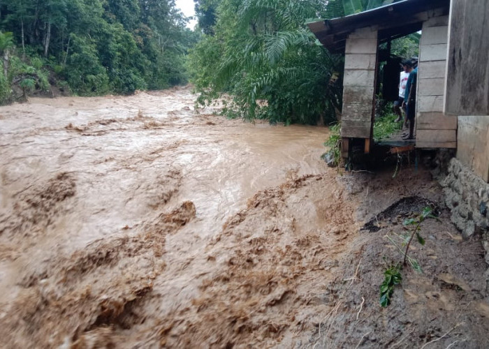 Dapur Rumah Warga Seluma Utara Hanyut Tersapu Sungai yang Meluap