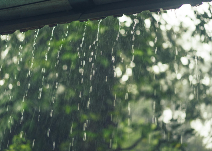 16 Manfaat Air Hujan Bagi Kesehatan, Diantaranya Hilangkan Stres dan Netralkan pH Darah