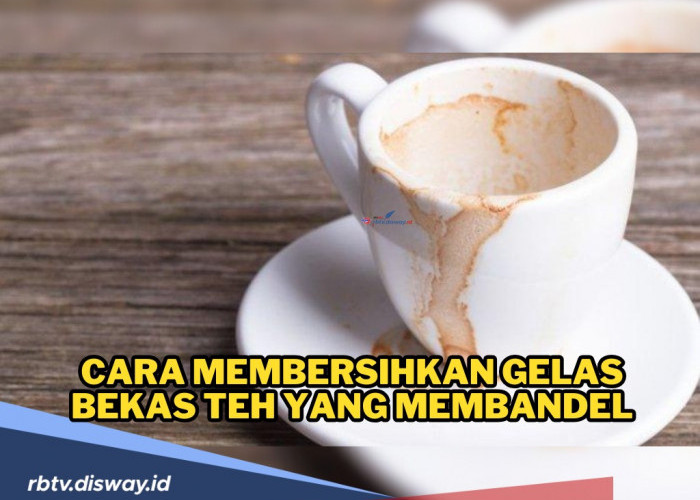 Ngga Usah Bingung, Begini Cara Membersihkan Noda Teh di Gelas, Yuk Dicoba!