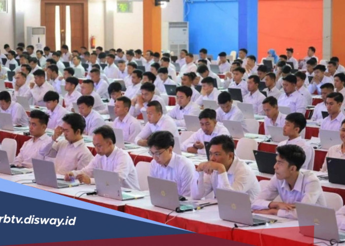Siap-siap Pembukaan CPNS 2026, Ini Syarat Daftar untuk Lulusan S1  