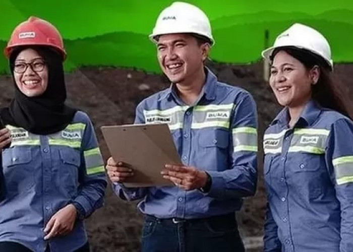 Info Loker , PT Madani Talatah Nusantara Tawarkan Posisi dan Gaji Mentereng, Cukup Daftarkan Diri Lewat Online