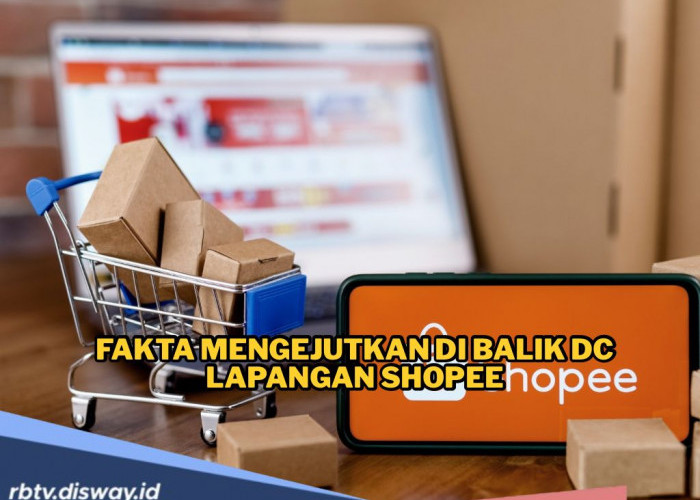 Jangan Salah Kaprah! Ini Fakta Mengejutkan Dibalik DC Lapangan Shopee yang Jarang Diketahui Pengguna