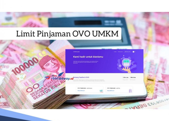 Besaran Limit Pinjaman OVO UMKM dan Bunganya, Lengkapi Persyaratan Ini agar Uang Cair