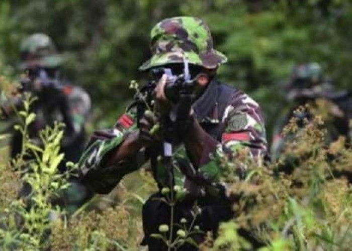 Berharap Anak Jadi Tentara? Berikut Intip Gaji Prajurit TNI dari Pangkat Tamtama hingga Jenderal