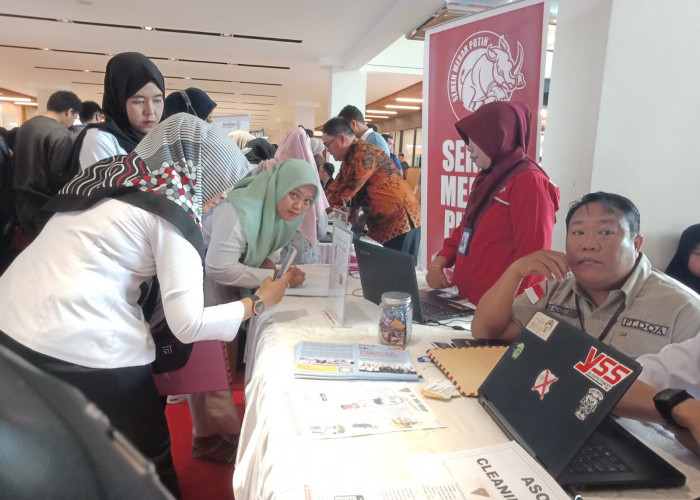 Pemprov Bengkulu Buka Job Fair Cari 675 Orang, Termasuk Penyandang Disabilitas