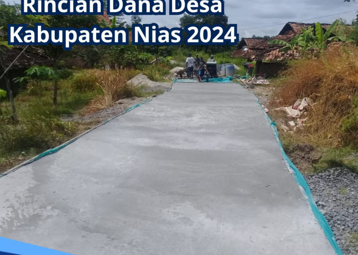 Intip Rincian Dana Desa Kabupaten Nias 2024, Ada 11 Desa Terima Kucuran 1 Miliar