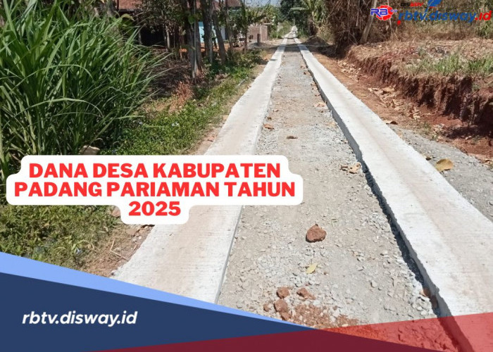 Dana Desa Kabupaten Padang Pariaman tahun 2025, Cek Pembagian Per Desanya Disini