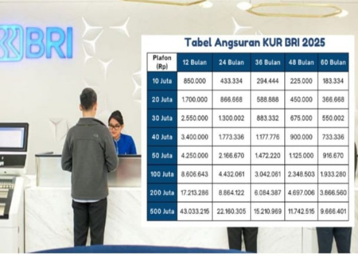 Pinjam Dana KUR BRI Rp 25 Juta Mei 2025, Segini Simulasi Cicilan per Bulan