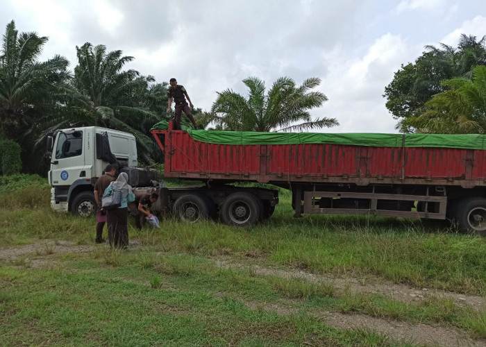 Truk Muatan Batu Diamankan Polisi, Sopirnya Diproses, Apa Salahnya?