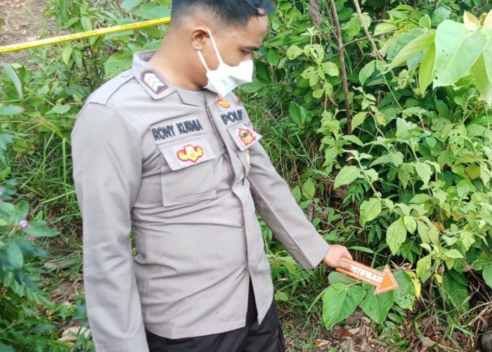 Penemuan Mayat Tanpa Identitas di Air Lakok Bengkulu Utara, Ini Penjelasan Polisi dan Proses Evakuasi Jenazah