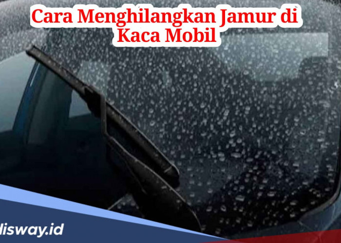 Cara Menghilangkan Jamur Kaca Mobil tanpa Harus ke Bengkel, Mudah Dilakukan di Rumah