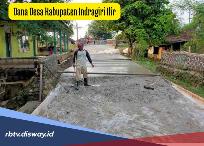 Dana Desa di Kabupaten Indragiri Hilir Tahun 2024, Lengkap Semua Desa