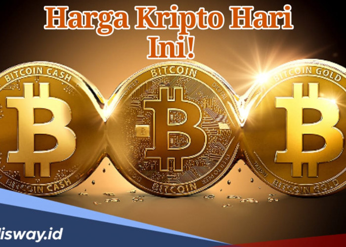 Harga Kripto Hari Ini 14 November 2024, Bitcoin Turun Jadi Segini