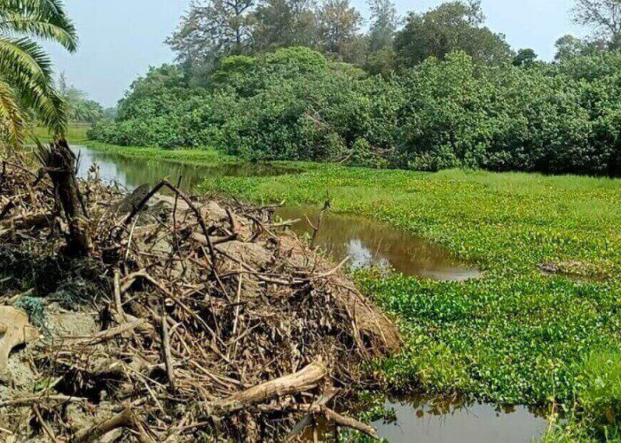 Memasuki Musim Penghujan, Warga Desa Penago Baru Was Was Dilanda Muntaber