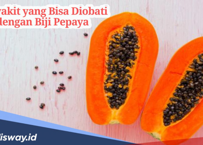 Jangan Langsung Dibuang, Biji Pepaya Bisa Jadi Obat untuk Penyakit Jenis Ini 