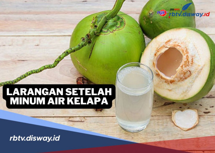 5 Larangan Setelah Minum Air Kelapa, Harus Dihindari Karena Buruk Bagi Kesehatan