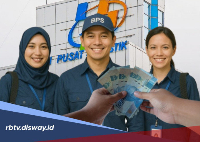 Segini Besaran Gaji Pokok dan Keuntungan Lainnya Menjadi Mitra Statistik BPS 2026