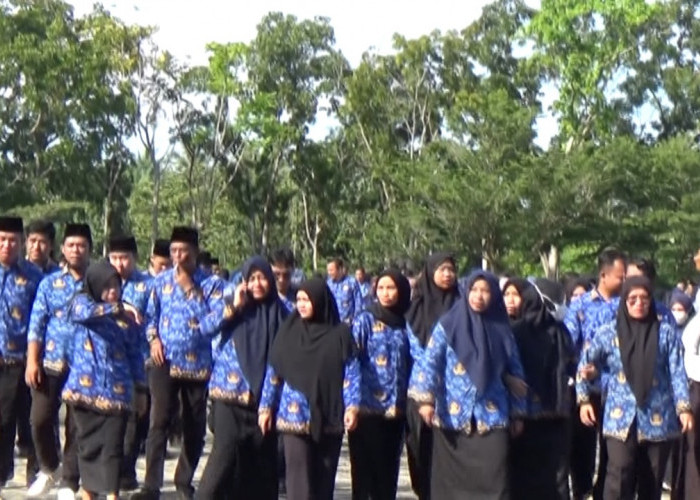 PPPK Paruh Waktu Masih Abu-abu, BKPSDM Mukomuko Bilang Begini