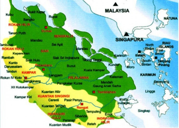 Ternyata Bukan Kota Pekanbaru, Ini Daerah Terkaya di Provinsi Riau