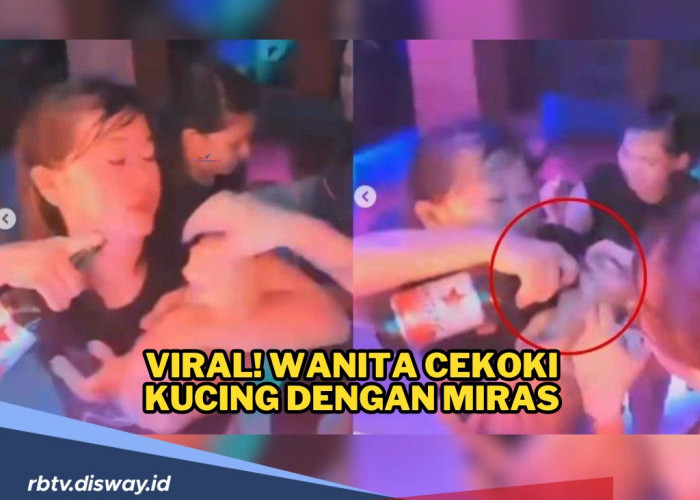 Viral! Wanita Cekoki Kucing dengan Miras, Ini Hasil Penelusuran Polisi dan Klarifikasinya