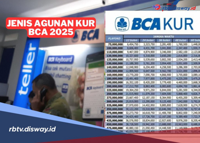 Tabel Angsuran Pinjaman KUR BCA 2025 Rp 200 Juta, Ini Jenis Agunan yang Berlaku