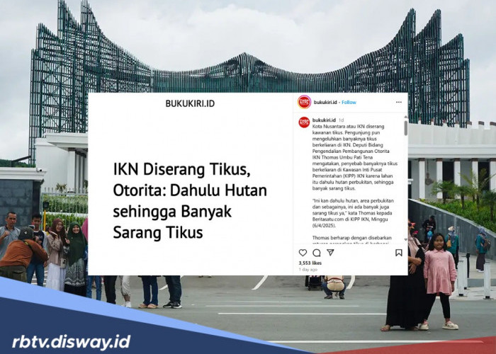 Heboh Libur Lebaran di IKN Pengunjung Kejar-kejaran dengan Tikus, Kok Bisa?