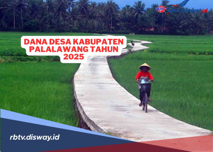 Rincian Dana Desa di Kabupaten Pelalawan Tahun 2025, Cek Total Anggaran Desamu