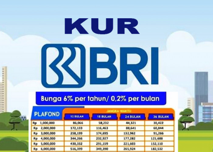 Tabel Angsuran KUR BRI November 2025 Pinjaman Rp 1 hingga 100 Juta, Favorit Pengusaha Muda