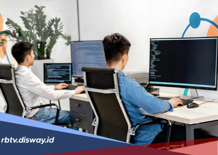 Biar Nggak Bingung, Ini Gambaran Kegiatan Petugas Sensus Ekonomi 2026 di Lapangan