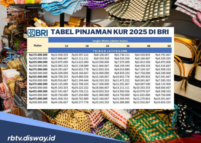 Tabel KUR BRI 2025, Pinjam Rp 80 Juta Berikut Angsuran, Cara dan Syaratnya