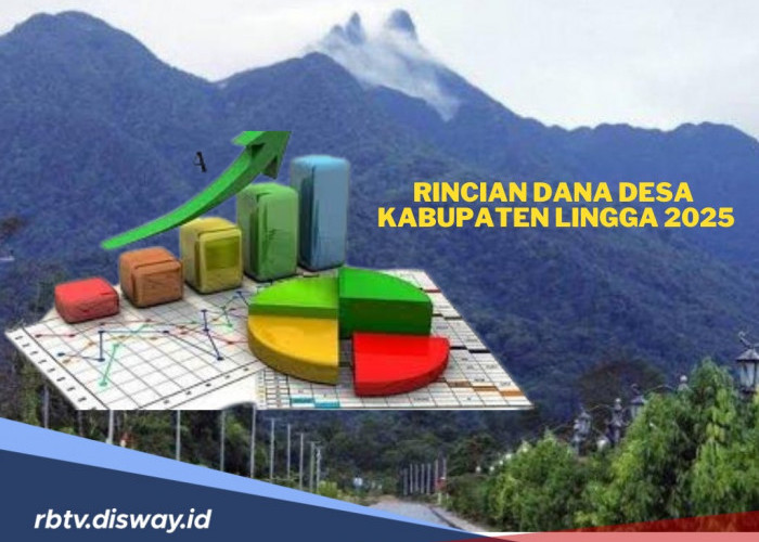 Kucuran Anggaran Dana Desa 2025 di Kabupaten Lingga Provinsi Kepulauan Riau