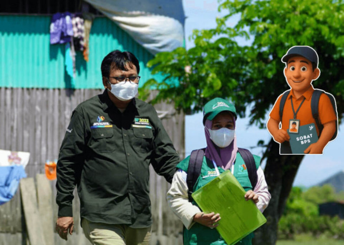 Jadi Rebutan, Ternyata Ini Tugas Mitra Pengolahan BPS 2026 