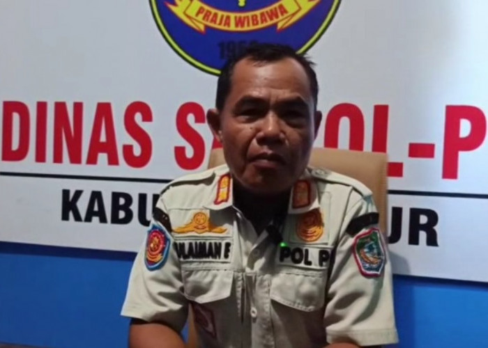 Belasan Reklame di Kaur Ditertibkan karena Menunggak Pajak