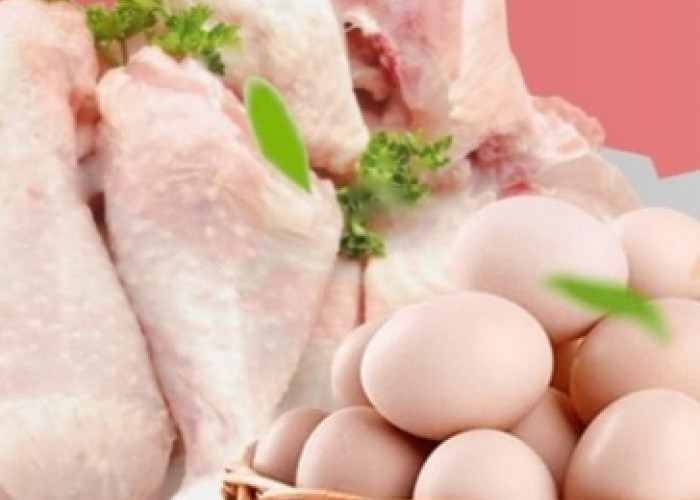 Bulan Ini, 1,4 Juta Keluarga Dapat.1 Kg Daging Ayam dan 10 Butir Telur 