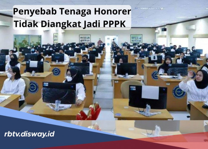 Apa Penyebab 300 Ribu Honorer Tidak Diangkat Menjadi PPPK, Padahal Terdata di Database BKN