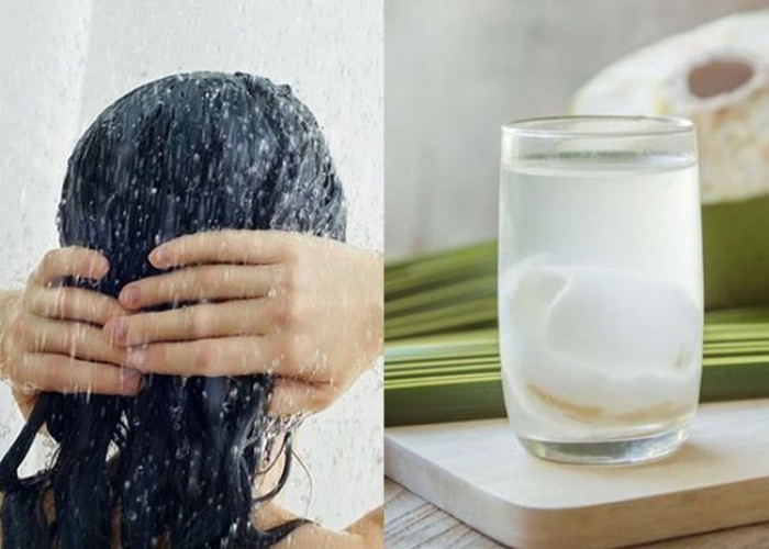 Ketombe Pergi Jauh, Begini 6 Manfaat Air Kelapa untuk Kesehatan Rambut