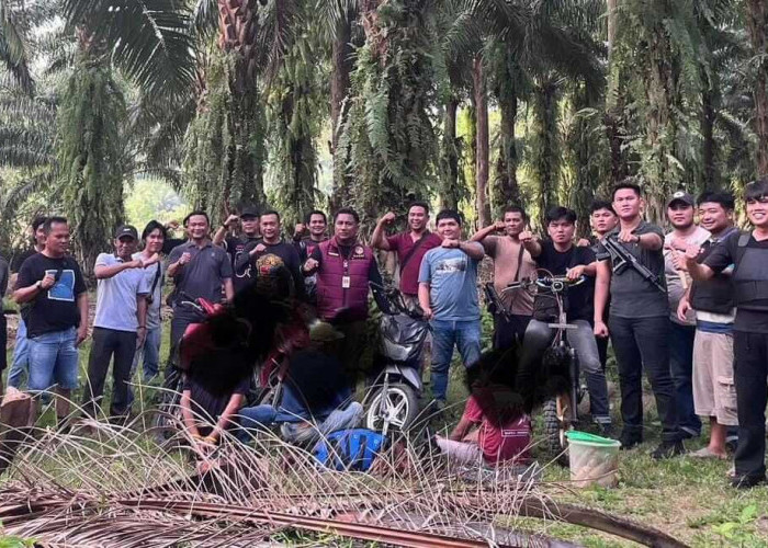 Tim Gabungan Polres Kaur Gerebek Sabung Ayam dan Dadu di Tanjung Kemuning