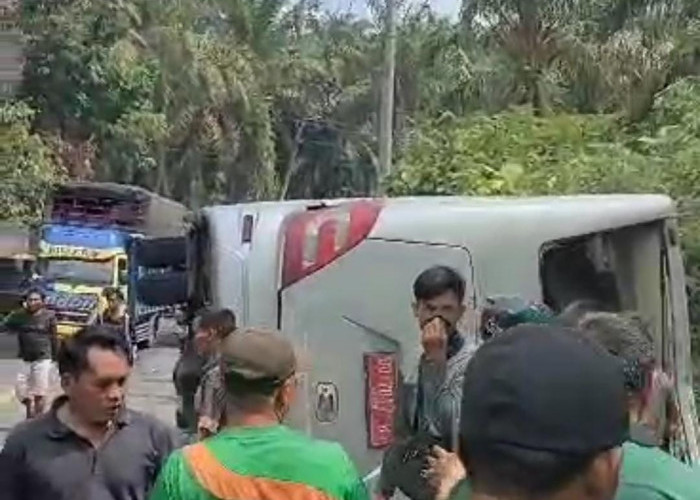 Bus Atlet Karate Kecelakaan, Puluhan Penumpang Cedera